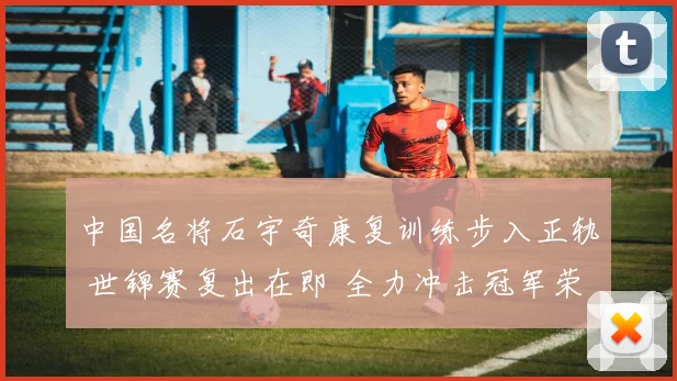 中国名将石宇奇康复训练步入正轨 世锦赛复出在即 全力冲击冠军荣耀